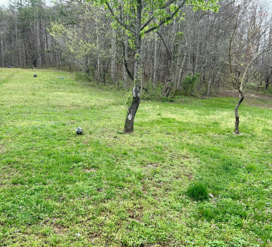 Listing Image 12