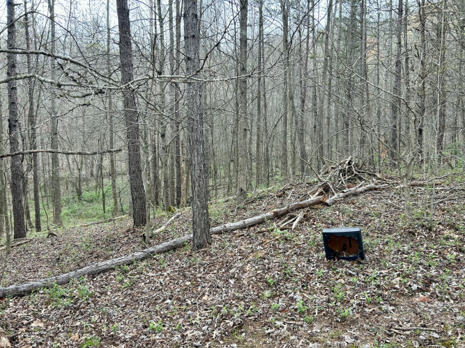Listing Image 14