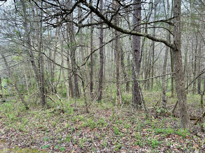 Listing Image 16