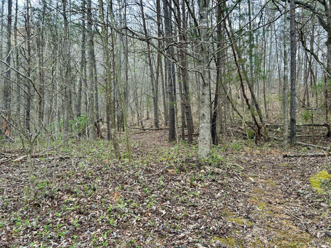 Listing Image 17