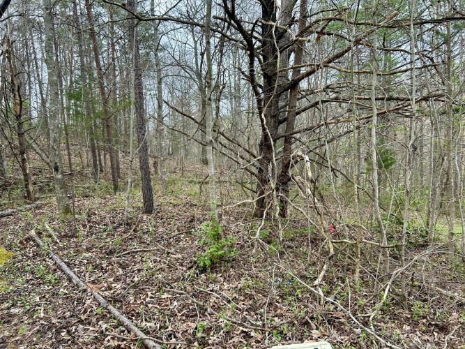 Listing Image 18