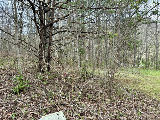 Listing Image 19