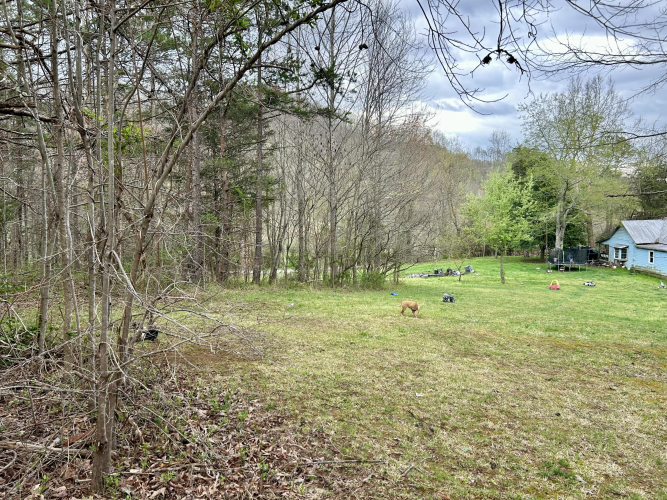 Listing Image 20