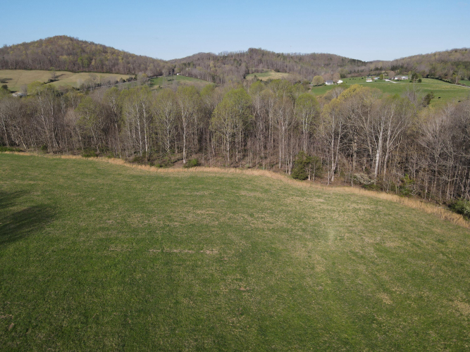 Listing Image 16