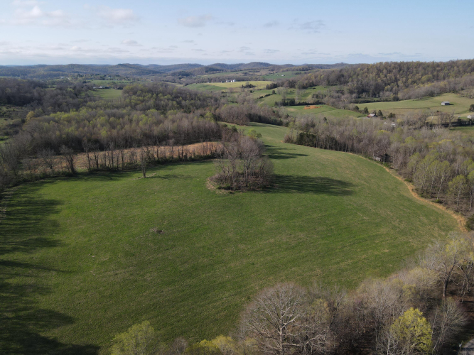 Listing Image 19