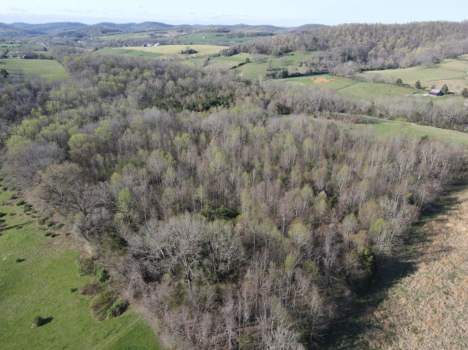 Listing Image 25