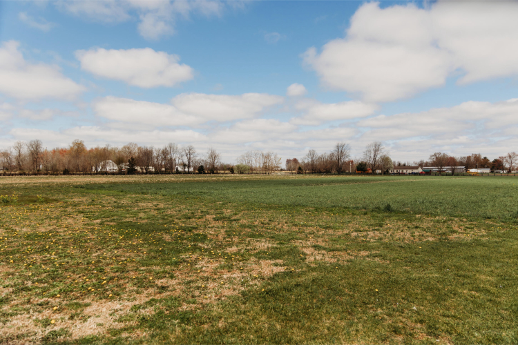 Listing Image 45