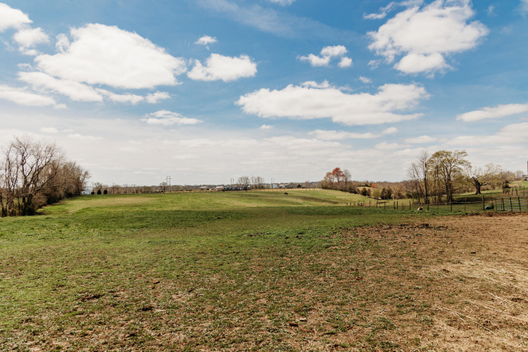 Listing Image 62