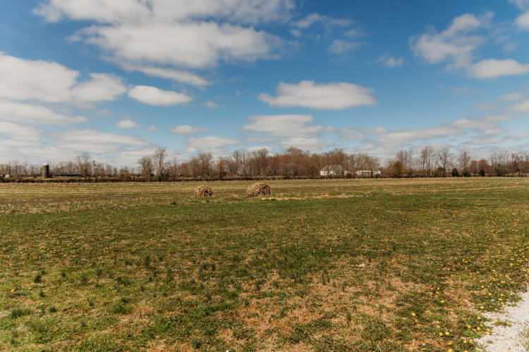 Listing Image 63