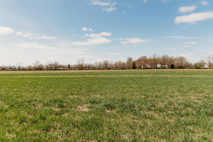 Listing Image 64