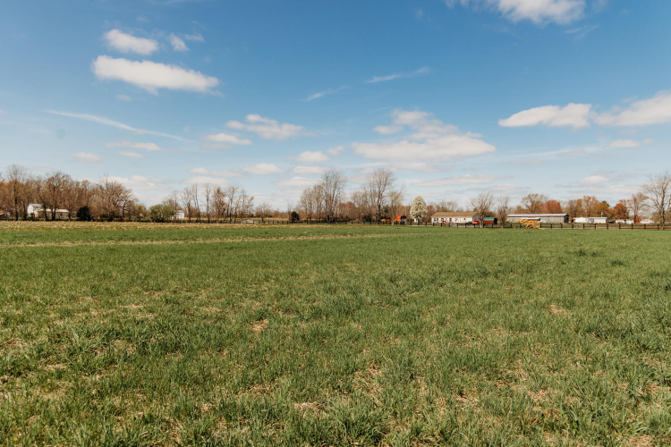 Listing Image 65