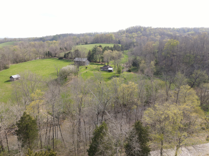 Listing Image 41