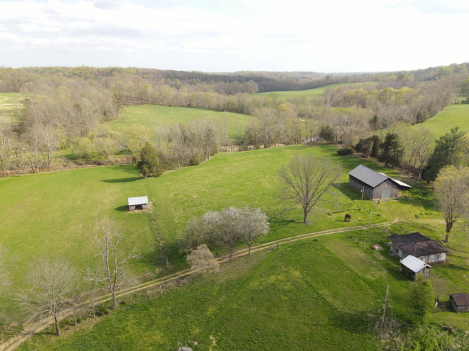 Listing Image 44