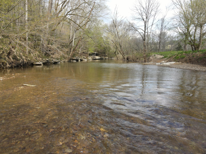 Listing Image 49