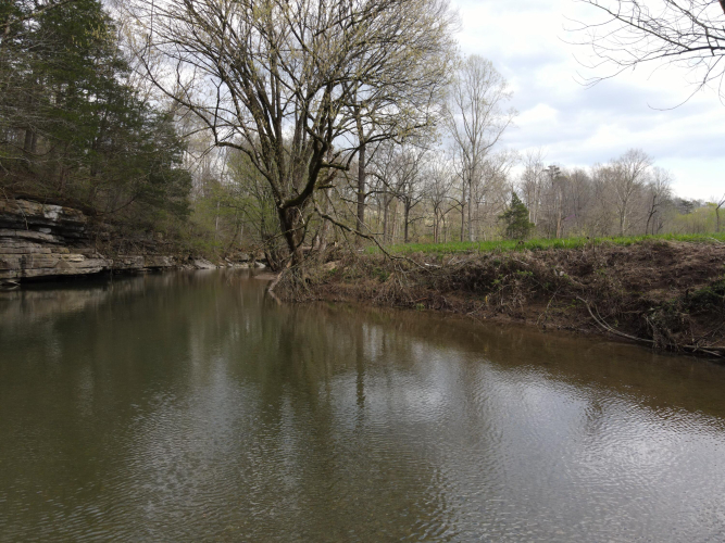 Listing Image 62