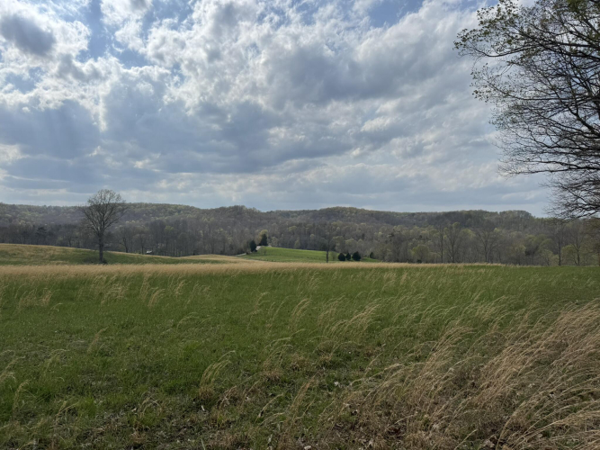 Listing Image 65