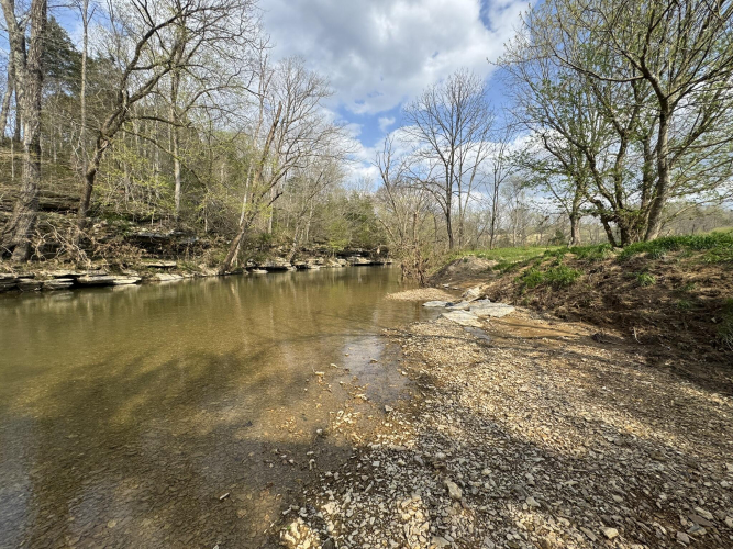 Listing Image 66