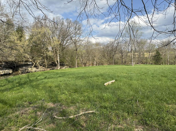 Listing Image 68