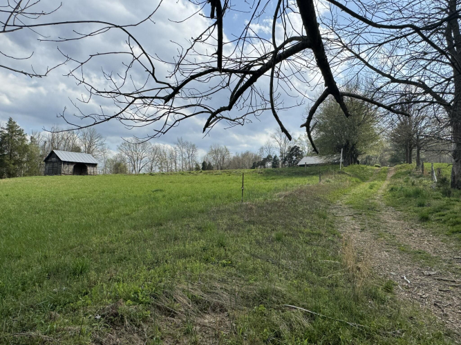Listing Image 69