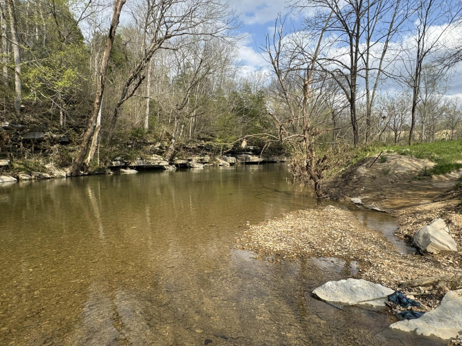 Listing Image 8
