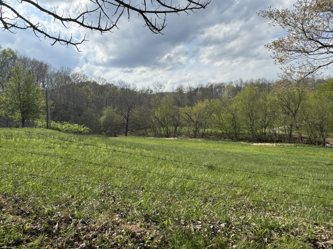 Listing Image 72
