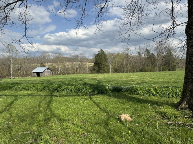 Listing Image 74