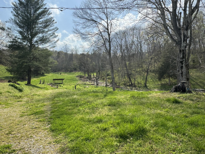 Listing Image 75