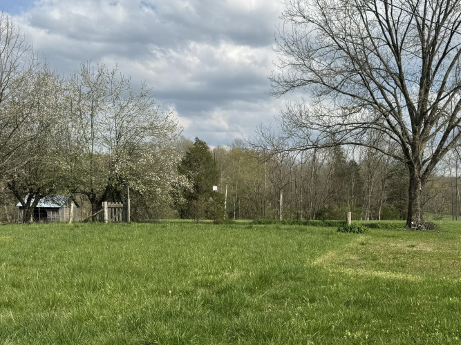 Listing Image 77