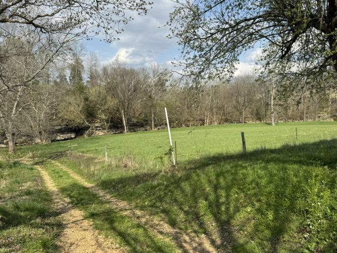 Listing Image 78