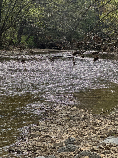 Listing Image 79
