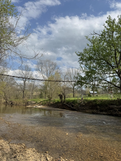 Listing Image 80