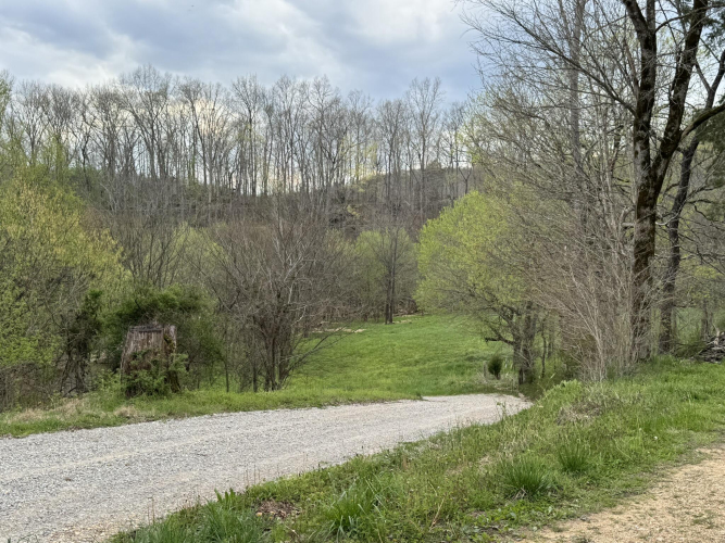 Listing Image 81