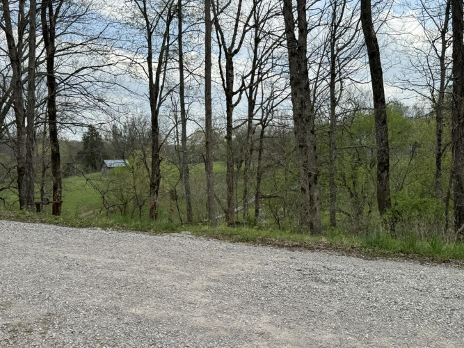 Listing Image 82