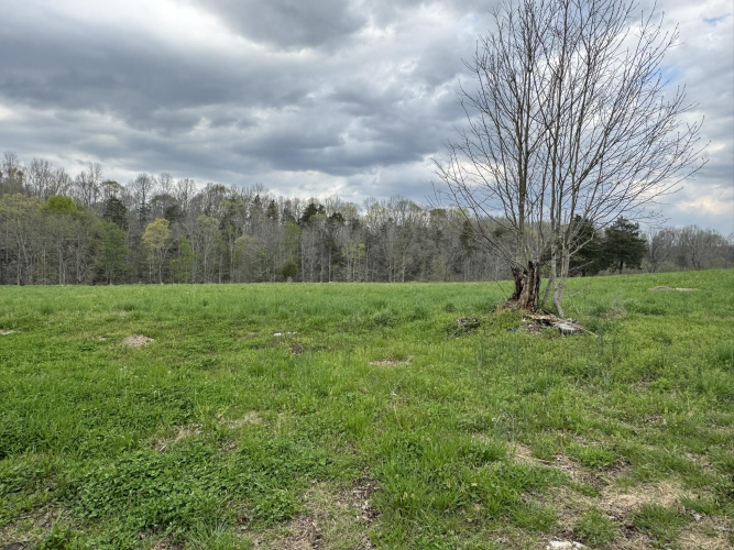 Listing Image 83