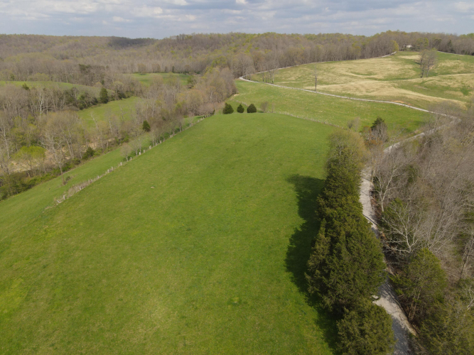 Listing Image 10
