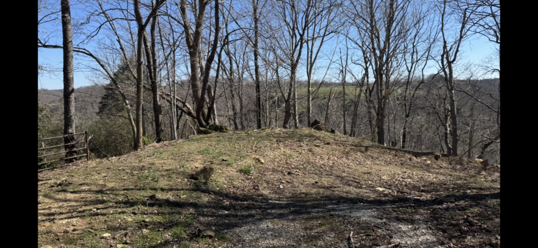 Listing Image 26