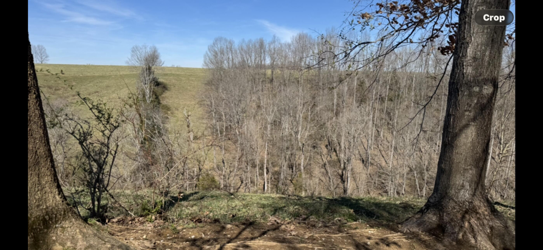 Listing Image 27