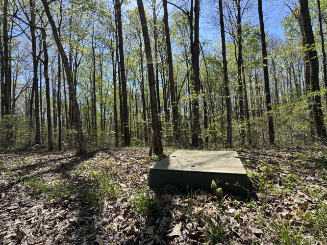 Listing Image 11