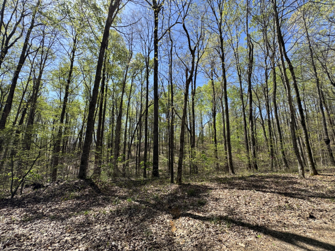 Listing Image 13