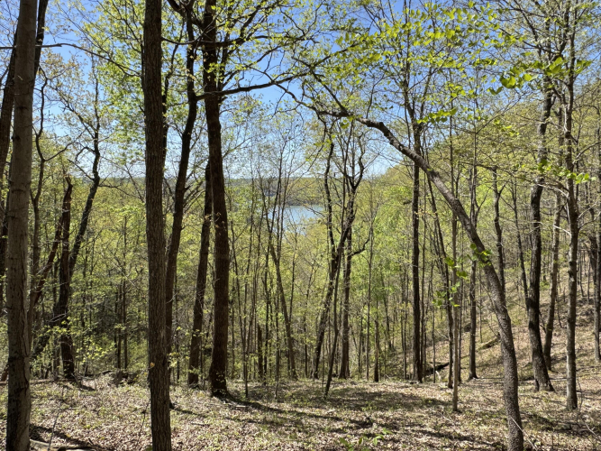 Listing Image 16