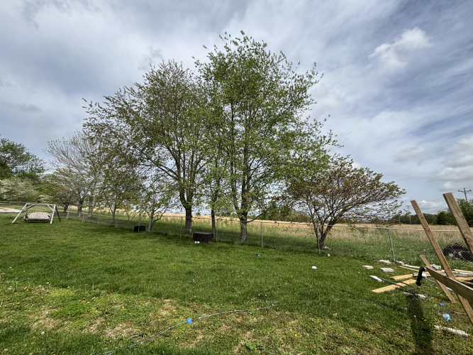 Listing Image 73