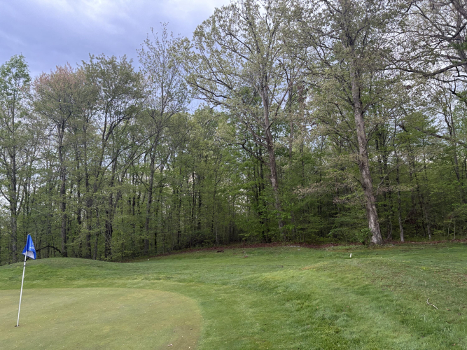 Listing Image 18