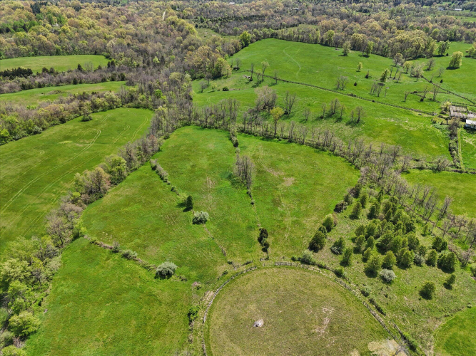 Listing Image 21