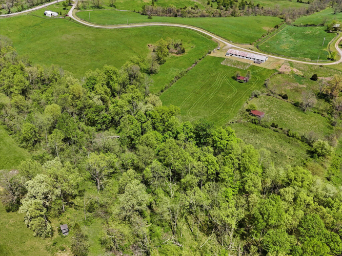 Listing Image 29