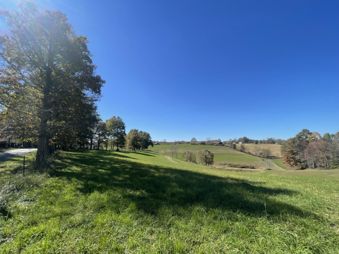 Listing Image 18