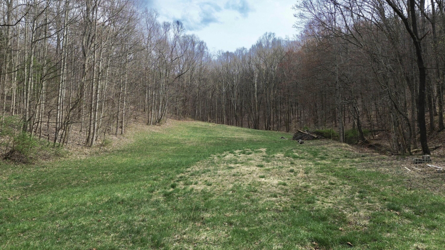 Listing Image 17