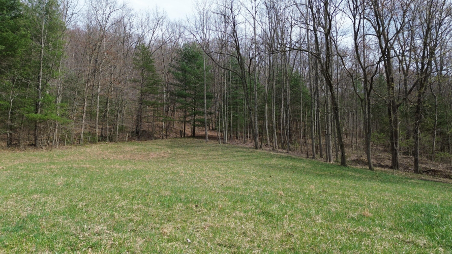 Listing Image 18