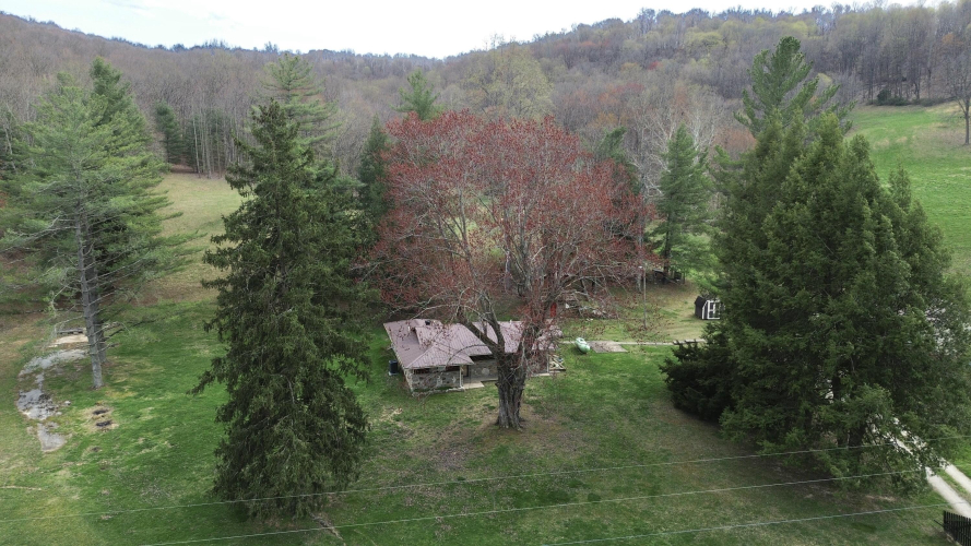 Listing Image 4