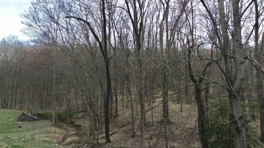 Listing Image 57