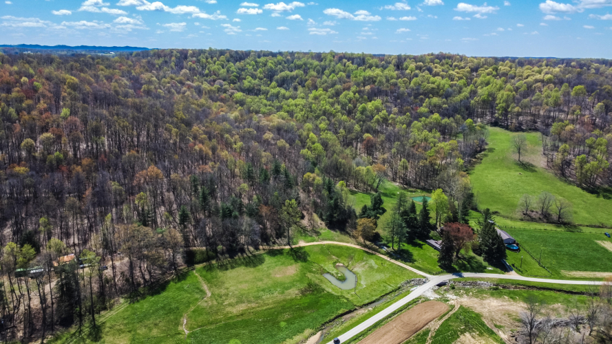 Listing Image 80
